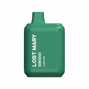 Lost Mary BM5000 by Elf Bar POD-1 "Lush Ice / Арбузный лед" 20